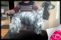 /album/ilpo/a11099708-10206585624777597-833058709-o-jpg/