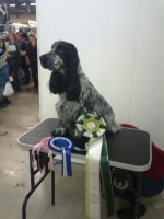 /album/ilpo/a426090-3245949465874-1996206061-n-jpg/