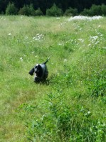 /album/ilpo/a11798532-10207162873008442-620533361-n-jpg/