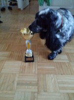 /album/ilpo/a11874030-10207281443172622-1368592307-n-jpg/