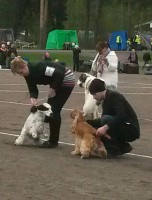 /album/patu/a11304524-10206585809742221-292185194-n-jpg/