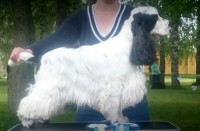 /album/patu/a11665722-10206936852958082-1192686937-o-jpg/