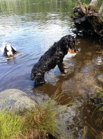 /album/patu/a11798324-10207162941050143-1388505947-n-jpg/