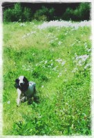 /album/patu/a11830297-10207164605971765-1983720581-n-jpg1/