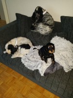 /album/luca/a11130493-10206308404647267-1577112438-n-jpg1/