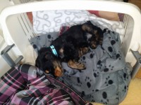 /album/luca/a11132375-10206317940765664-740647265-o-jpg/