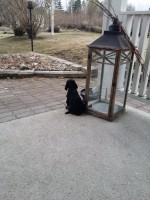 /album/luca/a11128859-10206360285464255-490508608-n-jpg1/