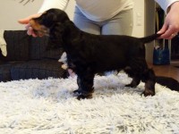 /album/luca/a11194827-10206437046343229-915441594-o-jpg/