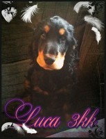 /album/luca/a11272230-10206564922740059-678005784-n-jpg/