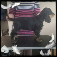 /album/luca/a11304390-10206585622777547-285085904-n-jpg/