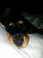 /album/luca/a11354844-10206737301689425-857096359-n-jpg/