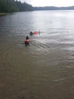 /album/luca/a11650800-10206888321944837-779168943-n-jpg/