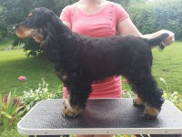 /album/luca/a11743573-10207053300269192-1825361253-o-jpg1/