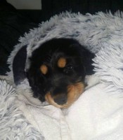 /album/luca/a11815861-10207134505859281-375864996-n-jpg/