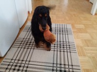 /album/luca/a11863024-10207234901369106-130560437-o-jpg1/