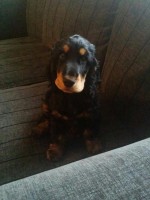 /album/luca/a11798436-10207134515979534-468144330-n-jpg/