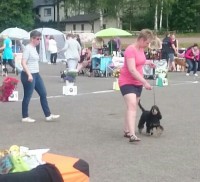 /album/luca/a11759034-10207053318189640-1453057593-n-jpg/