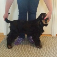 /album/luca/a11748811-10207026187871399-655230076-n-jpg/