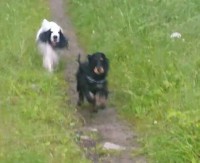 /album/luca/a11749535-10207107957075578-83213287-n-jpg/