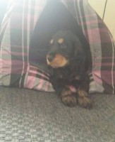 /album/luca/a11815814-10207134501459171-1798070927-n-jpg/