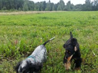 /album/luca/a11800660-10207157210866892-1783950570-o-jpg/