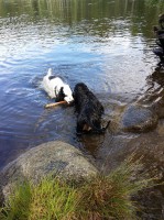 /album/luca/a11844070-10207162940890139-628027063-n-jpg/