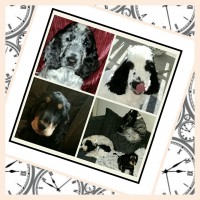 /album/kuvagalleria/img-20150728-223718-jpg/