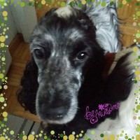 /album/kuvagalleria/a14394870262421-jpg/