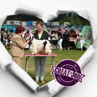 /album/kuvagalleria/a14390440244521-jpg/