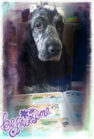 /album/kuvagalleria/a14383553619611-jpg/