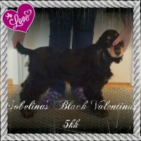 /album/kuvagalleria/a14369017876681-jpg/