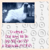 /album/kuvagalleria/a1435699956711-jpg/