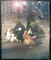 /album/kuvagalleria/a14319611316721-jpg/