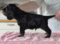 /album/kuvagalleria/fb-img-1427118041002-jpg/