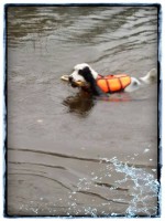 /album/kuvagalleria/a11940123-10207359074233350-746725082-n-jpg1/