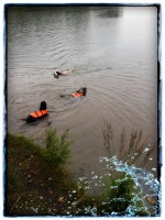 /album/kuvagalleria/a11908152-10207359081313527-1239500670-n-jpg1/