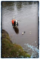 /album/kuvagalleria/a11942251-10207359083833590-508274024-n-jpg1/