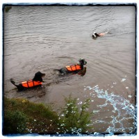 /album/kuvagalleria/a11903508-10207359094753863-867347401-n-jpg1/