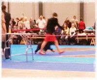 /album/nayttelyissa/photostudio-1448135800759-jpg/