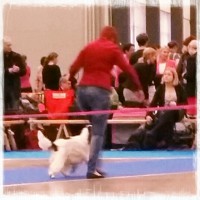 /album/nayttelyissa/photostudio-1448135836067-jpg/