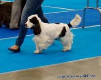 /album/nayttelyissa/patu1-jpg/