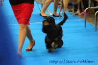 /album/luca/luca1-jpg1/