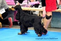 /album/luca/luca2-jpg1/