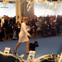 /album/nayttelyissa/photostudio-1449329082335-jpg/