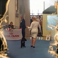 /album/nayttelyissa/photostudio-1449329174658-jpg/